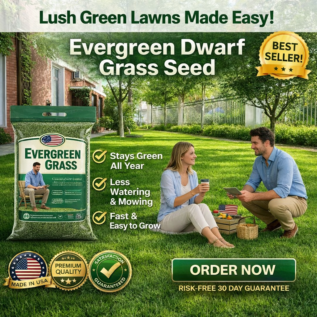 /69d112914a47400009dae51e/2026/04/16/product-img-69e11e12373c02bd69cc08e0.png